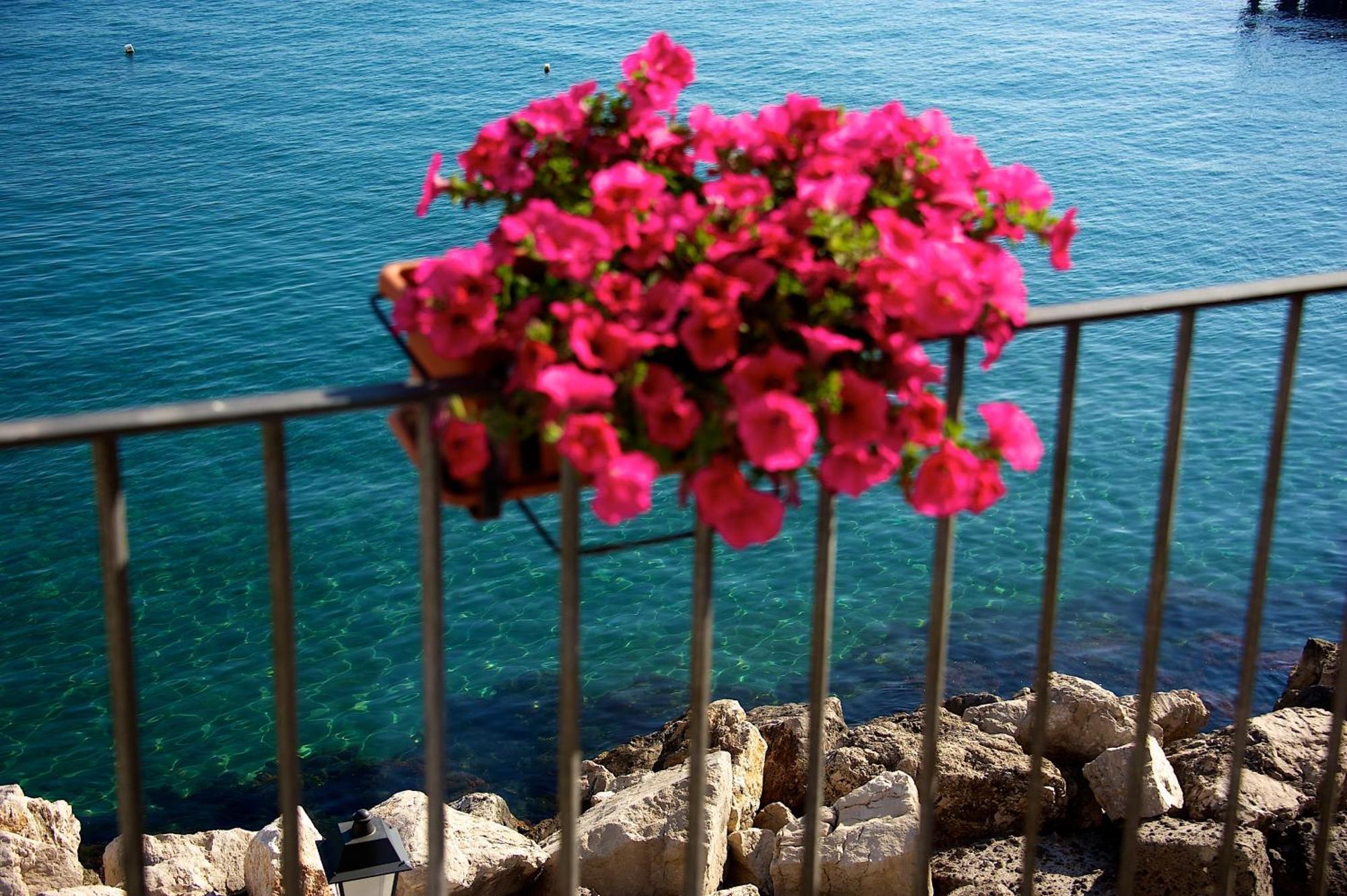 Villa Lieta Ischia Exteriér fotografie